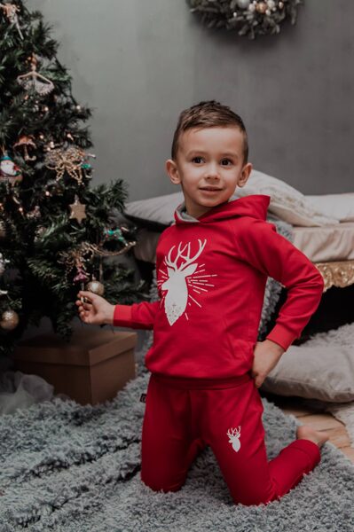 Džemperis ar kapuci BRIEDIS sarkans